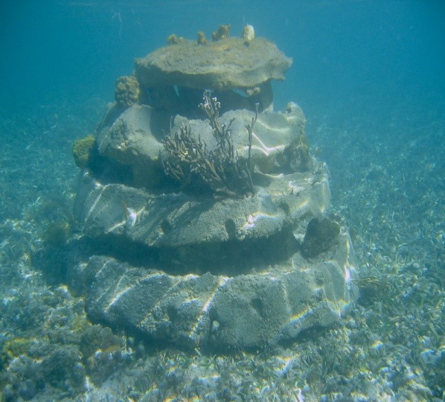 reef-ball-layer